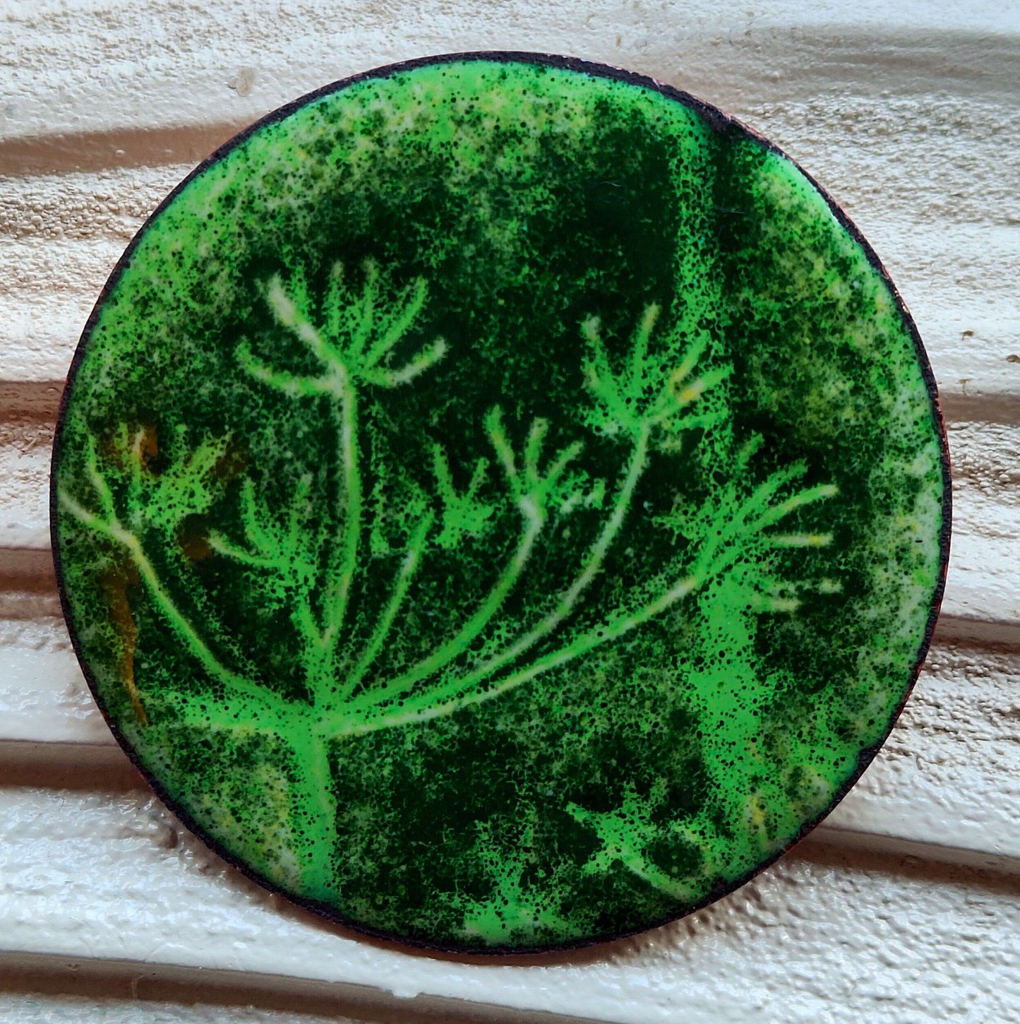 Cow Parsley Enamel brooch 6