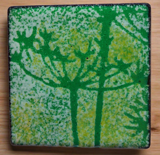 Cow Parsley Enamel brooch 3